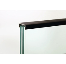 Glasplatte mit Befestigungsprofil