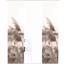 Siège devant un paysage de roseaux