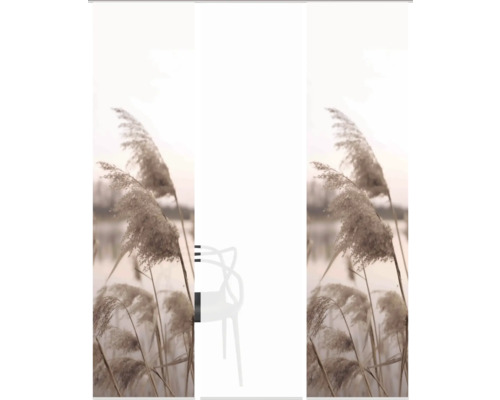 Siège devant un paysage de roseaux