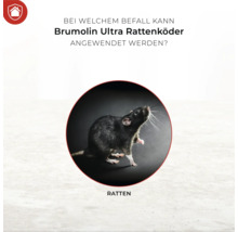 Anwendungsbereich von Brumolin Ultra Rattenköder: Rattenbefall