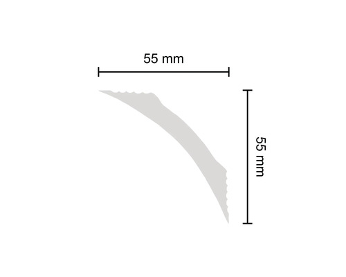 Technische Zeichnung einer Zierleiste mit den Maßen 55 mm x 55 mm.