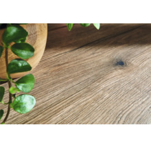 Holzboden mit Maserung und Pflanze