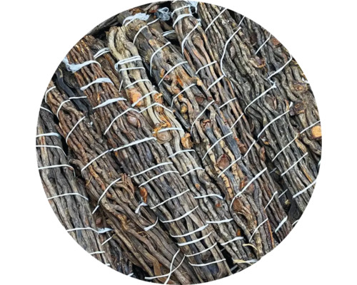 Branches d''osier groupées pour le tressage