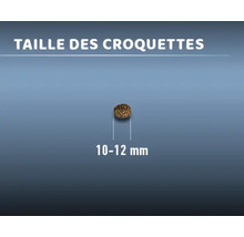 La taille des croquettes alimentaires est de 10 à 12 millimètres