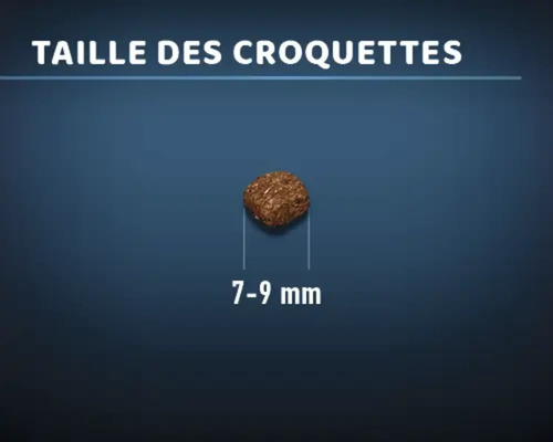 La taille des aliments secs est de 7 à 9 millimètres