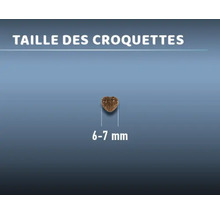 Croquette d''aliment d''une taille de six à sept millimètres