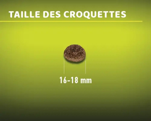 Taille des croquettes : 16 à 18 millimètres