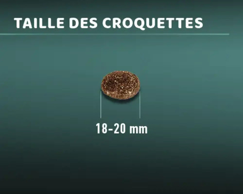 Taille des croquettes : 18 à 20 millimètres