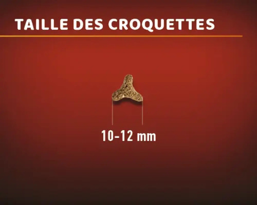 Taille des croquettes pour chiens : 10 à 12 millimètres
