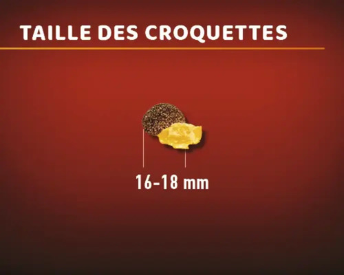 Taille des croquettes : 16 à 18 millimètres