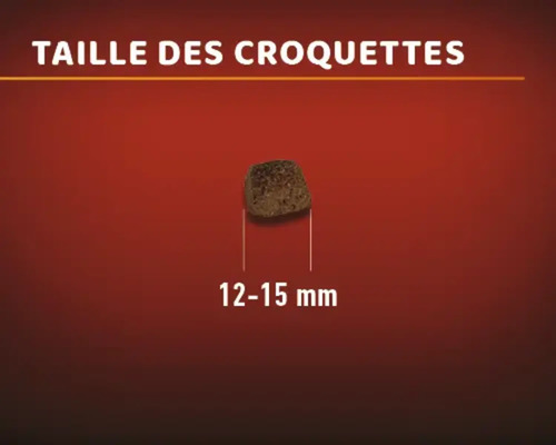 Taille des croquettes : 12 à 15 millimètres