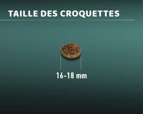 Taille des croquettes : 16 à 18 millimètres