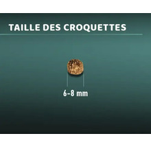 Taille des croquettes pour animaux : 6 à 8 millimètres