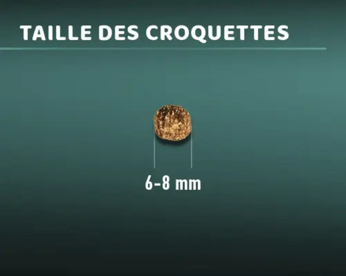 Taille des croquettes pour animaux : 6 à 8 millimètres
