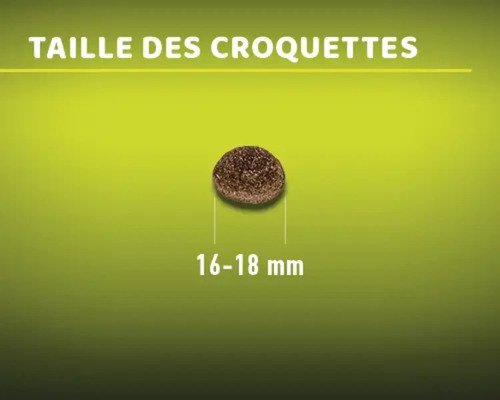 La taille des croquettes pour chat est de 16 à 18 millimètres