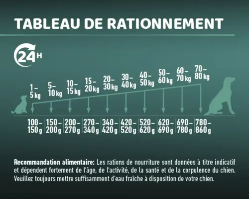 Tableau d''alimentation pour chiens par poids