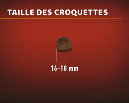 Taille des croquettes de 16 à 18 millimètres