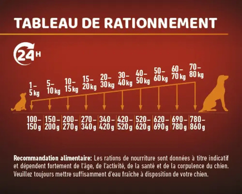 Tableau des rations alimentaires pour chiens