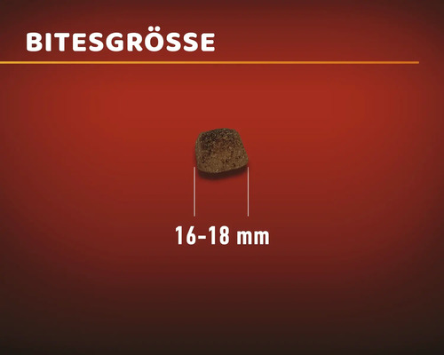 Hundekroketten Größe 16 bis 18 Millimeter