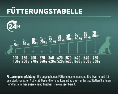 Fütterungstabelle für Hunde mit Gewichtsempfehlungen