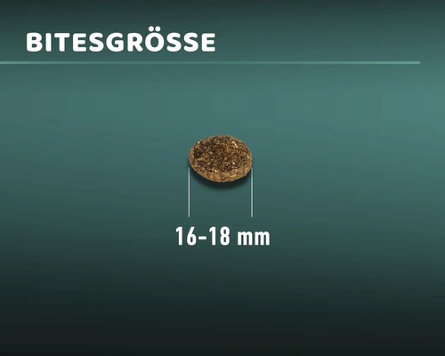 Eine einzelne Krokette mit einer Größe von 16 bis 18 Millimeter