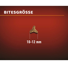 Futterstückgröße 10 bis 12 Millimeter