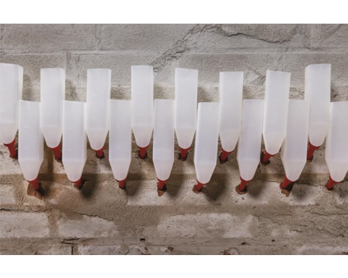 Reihe von Kunststoffwasserflaschen mit Nippeltränken an einer Mauer