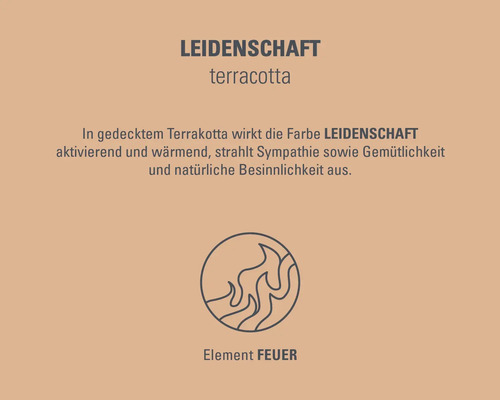 Leidenschaft Terracotta Text und Feuerelement Symbol