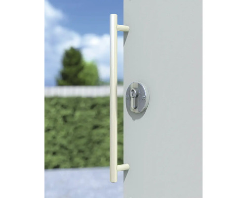 Tür mit Griff und Schloss