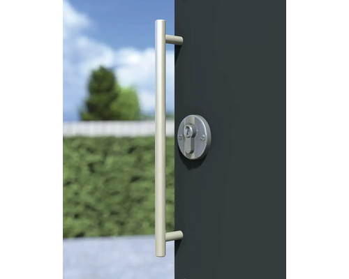 Porte avec poignée barre et serrure