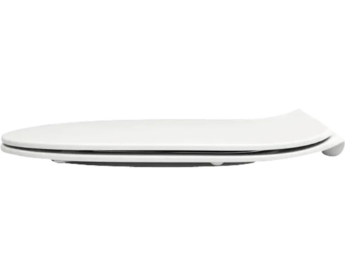 Toilettendeckel aus Kunststoff