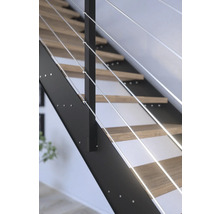 Pertura Wangentreppe Libra Eiche ohne Setzstufen Pulverbeschichtet Seitenwange Schwarz gerade 105 cm 15 Stufen / 16 Steigungen Stabgeländer