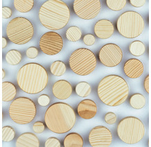 Konusplättchen Wolfcraft Ø 25 mm 20er Pack