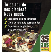 Publicité pour les plantes et accessoires de jardin FloraSelf avec une personne rempotant des plantes.