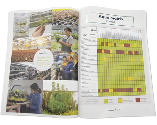 Aufgeschlagenes Buch mit Informationen zu Aquariumpflanzen und deren Kompatibilität mit Fischen.