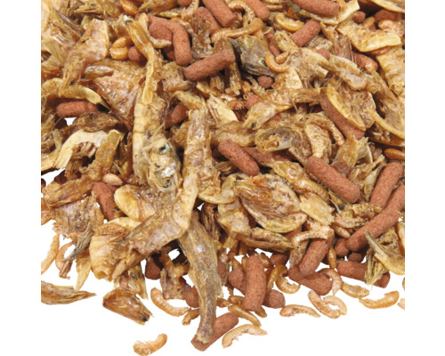 Nahaufnahme von Fischfutter mit getrockneten Garnelen und Futterpellets.
