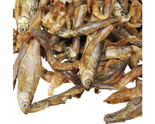 Poissons séchés pour bassin de jardin