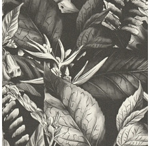 Vliestapete Drawn into Nature Dschungelblätter schwarz