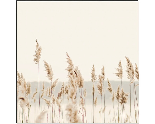 Dekoratives Wandbild mit Schilfmotiv für Wohnräume