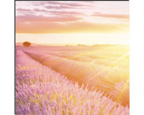 Dekorative Wandkunst mit Lavendelfeld bei Sonnenaufgang