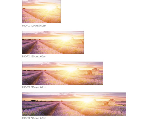 Mehrteiliges Wandbild mit Lavendelfeld bei Sonnenaufgang in verschiedenen Größen