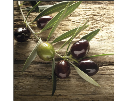 Olivenzweig auf Holz