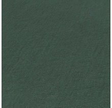 Nahaufnahme einer grünen Oberfläche mit Textur