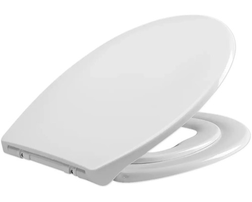 Toilettendeckel aus Kunststoff