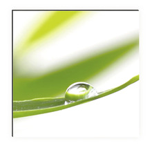 Fotografie einer Nahaufnahme eines Wassertropfens auf einem grünen Blatt