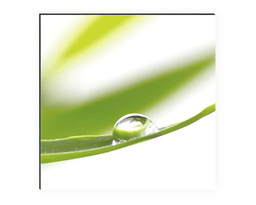 Photographie d''un gros plan d''une goutte d''eau sur une feuille verte