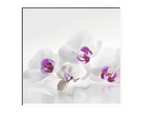 Dekorative Wandbild mit Orchideenmotiv