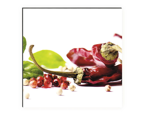 Rote Chilischoten, Pfefferkörner und Blätter auf weißem Hintergrund.