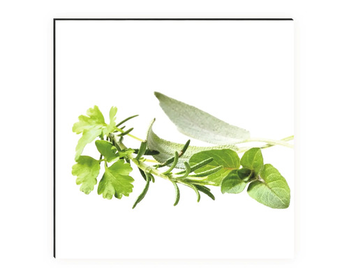 Kräuterzweig mit Petersilie, Salbei, Rosmarin und Oregano