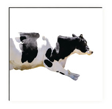 Image décorative d''une vache encadrée